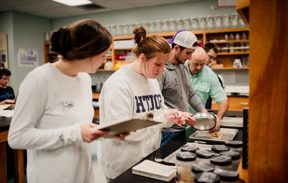 在海豚岛海洋实验室，学生们识别收集到的虾、蟹和鱼 测量它们的大小和重量.